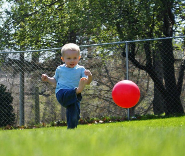 Development Milestones for Toddlers 2 to 3 Years!